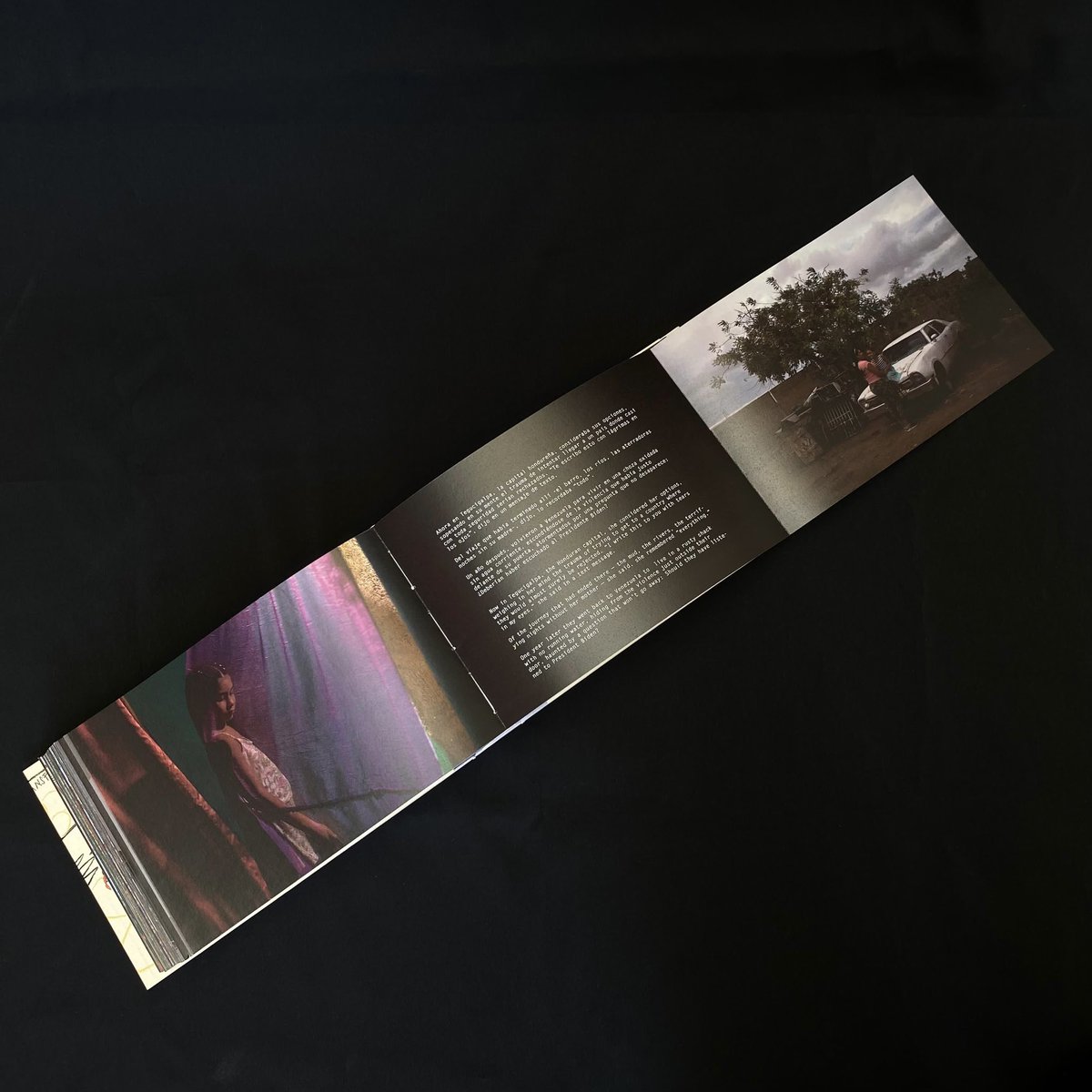 Federico Rios tweet media