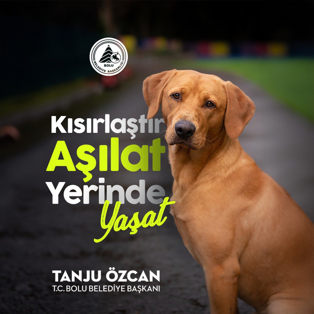 Sahipsiz sokak hayvanlarına yönelik düzenlemeler içeren Hayvanları Koruma Kanunu'nda Değişiklik Yapılmasına Dair Kanun Teklifi’ndeki “Ötanazi” uygulamasını kabul etmiyoruz. 

#YasayıGeriÇek 
#YasalarÖldürmezYaşatır 
#SokakHayvanlarıSahipsizDeğil