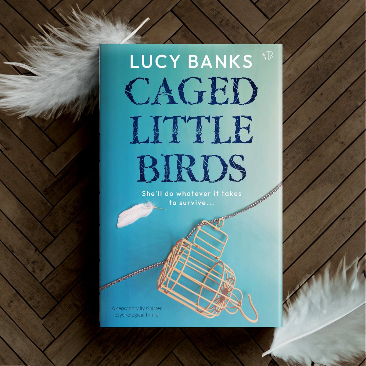 She’s finally free of her cage, and she’s not going back… Grab this gripping thriller by Lucy Banks! 'Caged Little Birds' is available to pre-order NOW! geni.us/cagedlittlebir…

#thrilller #preorder #newbook #bookrecs
