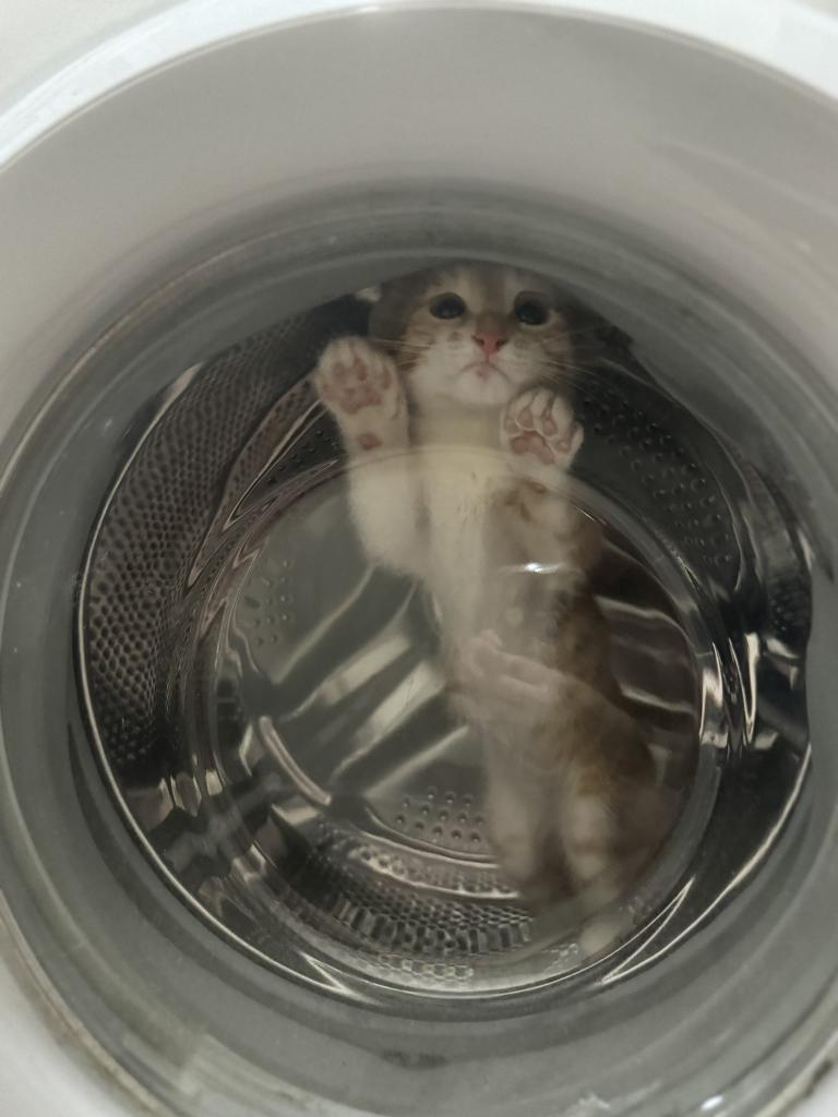 Lili (@lilikopan) on Twitter photo 