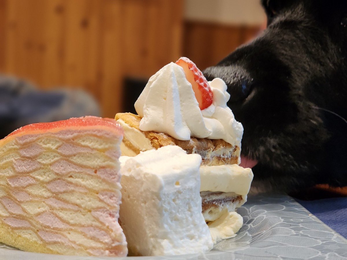 娘がケーキの写真を撮っていたら、黒い影が来て、ベロって行ったそうです。