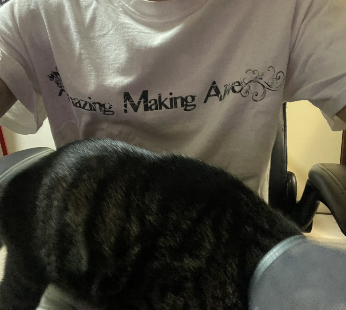 RyotaQuawp's tweet photo. 最近ステージで出番のないTシャツ
#アメアラ
#AmazingMakingAlive https://t.co/jdDzlfrell