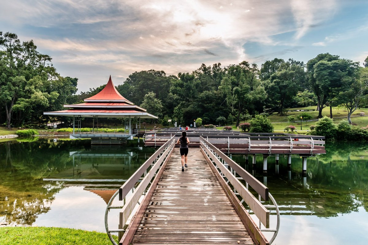 javanng's tweet photo. Exploring green oasis at MacRitchie Reservoir, Singaporeβs oldest reservoir. ππ§
#nature_brilliance #SymmetryAtMacRitchie #nparkbuzz #singapore #seemycity https://t.co/oxEl1B5mGd