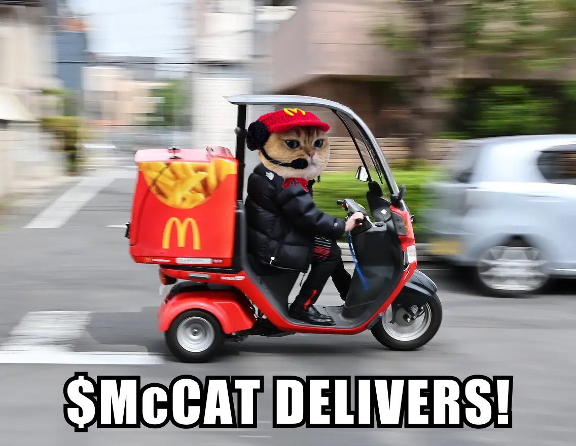 McCAT tweet media