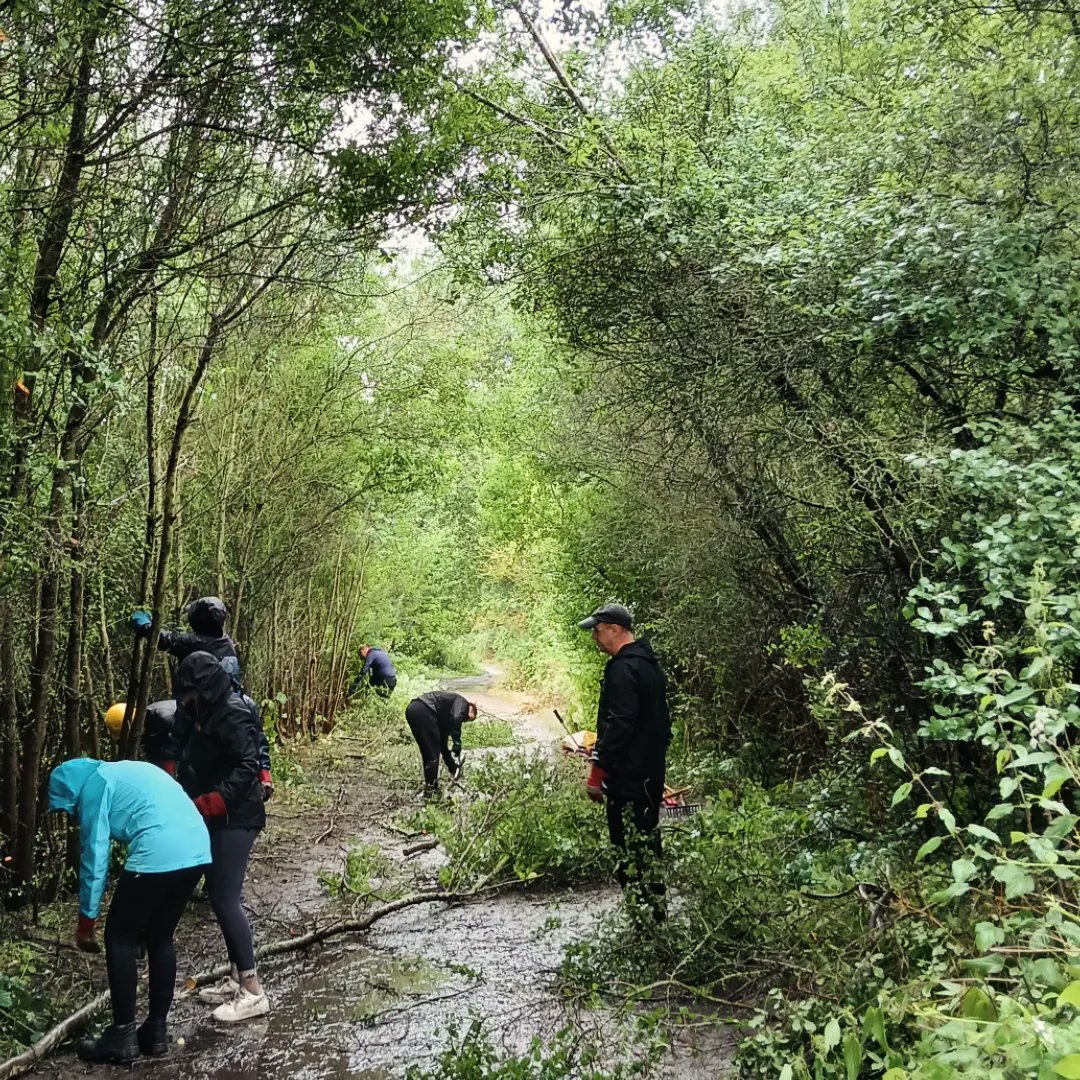 Friends of South Norwood Country Park tweet media