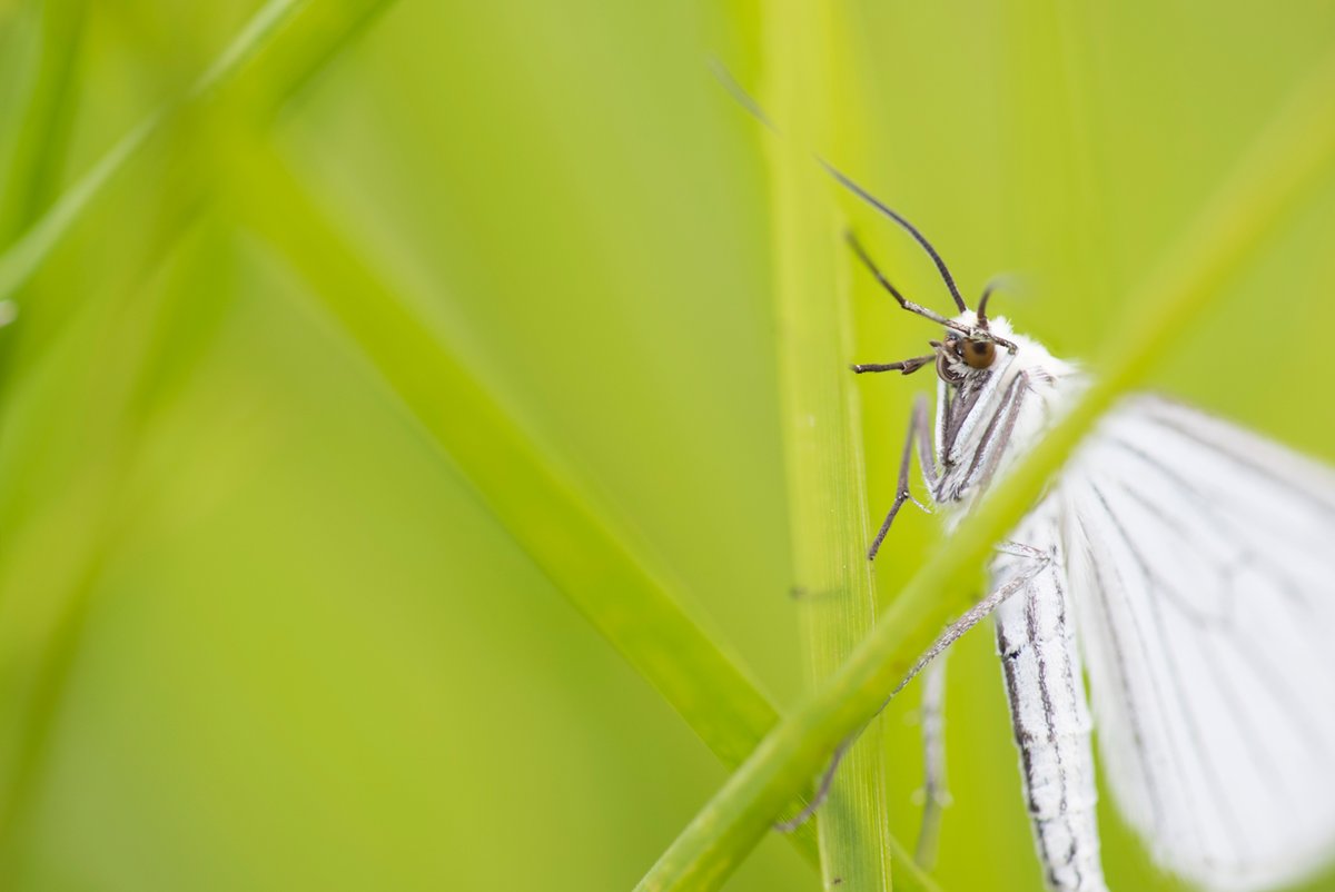 Matt Livesey tweet media