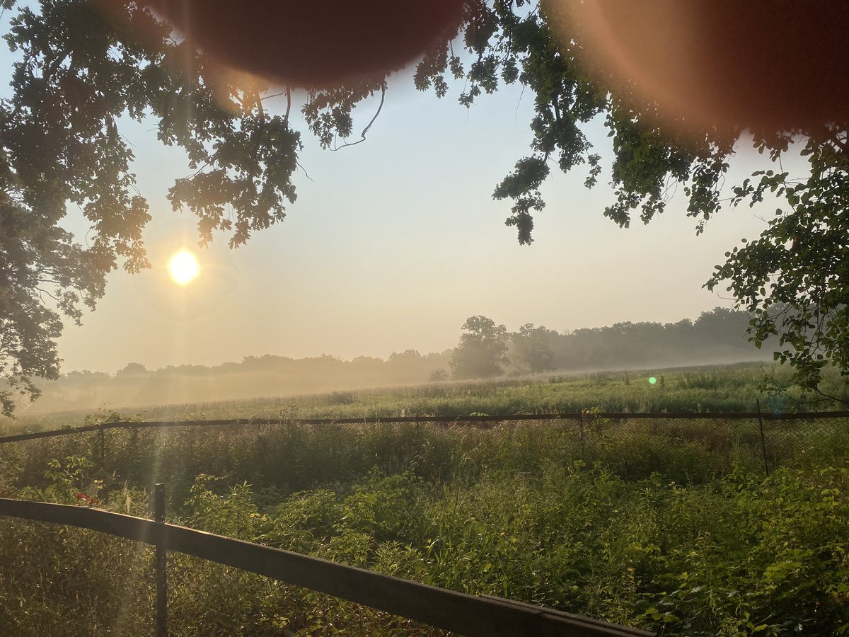 Justin87925317's tweet image. Good morning everyone. Great to get out for a walk before the heat. I really hope I don’t lose my way in the mist😂. May you all have all a beautiful day and weekend 🙏🥰#Beautifulweekend