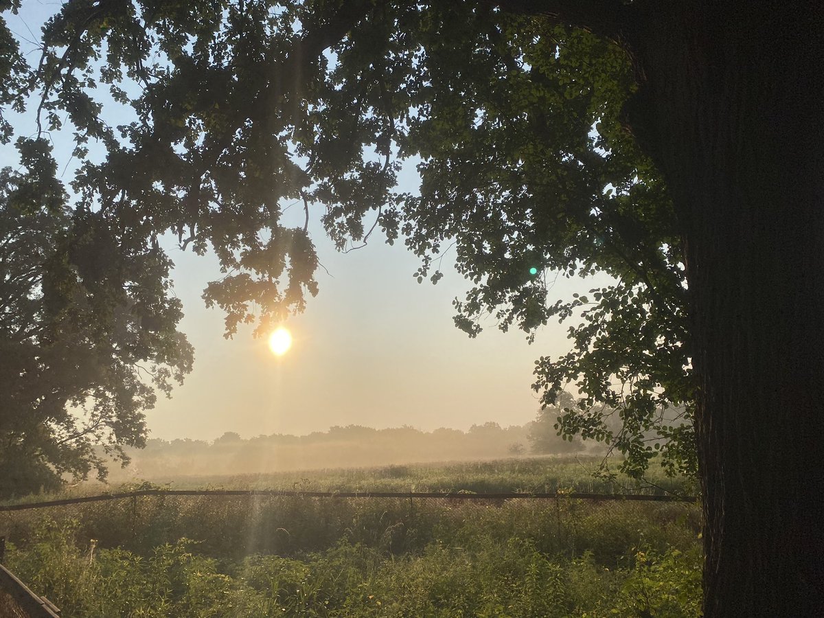 Justin87925317's tweet image. Good morning everyone. Great to get out for a walk before the heat. I really hope I don’t lose my way in the mist😂. May you all have all a beautiful day and weekend 🙏🥰#Beautifulweekend