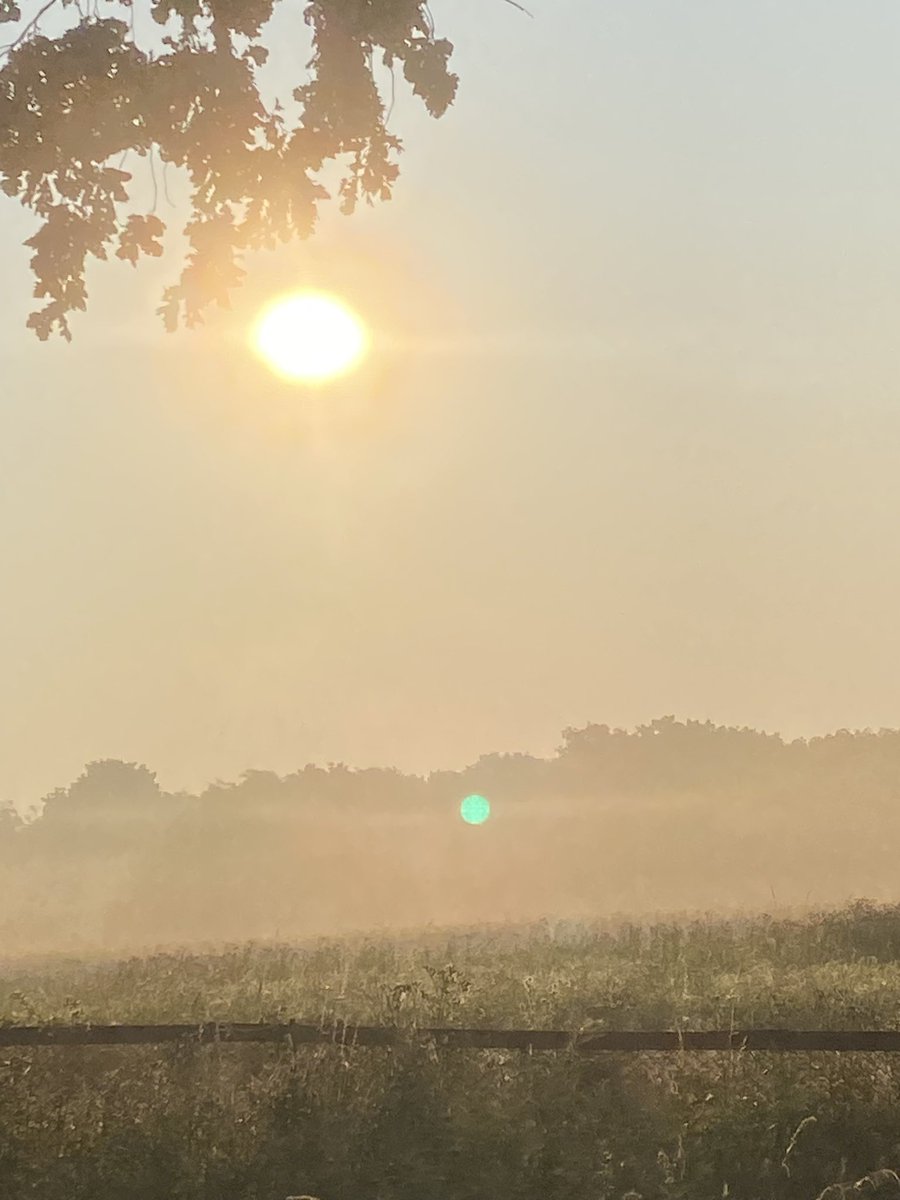 Justin87925317's tweet image. Good morning everyone. Great to get out for a walk before the heat. I really hope I don’t lose my way in the mist😂. May you all have all a beautiful day and weekend 🙏🥰#Beautifulweekend