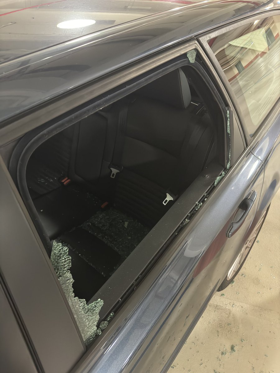 Willem de Kam tweet media