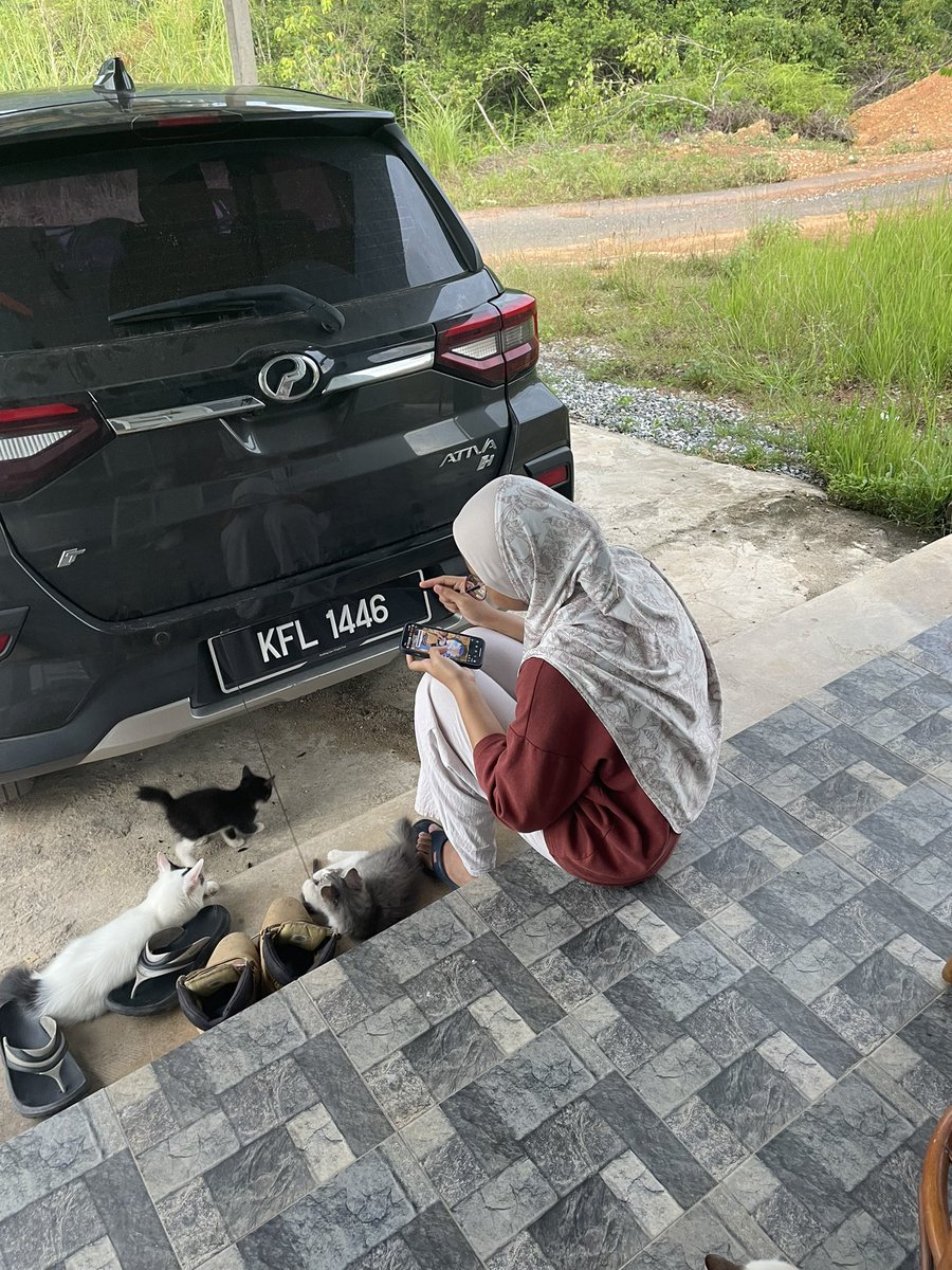 NaimHakim's tweet photo. @aininajamil Like we dont live w the same cat poop smell https://t.co/tGonDON9Rp