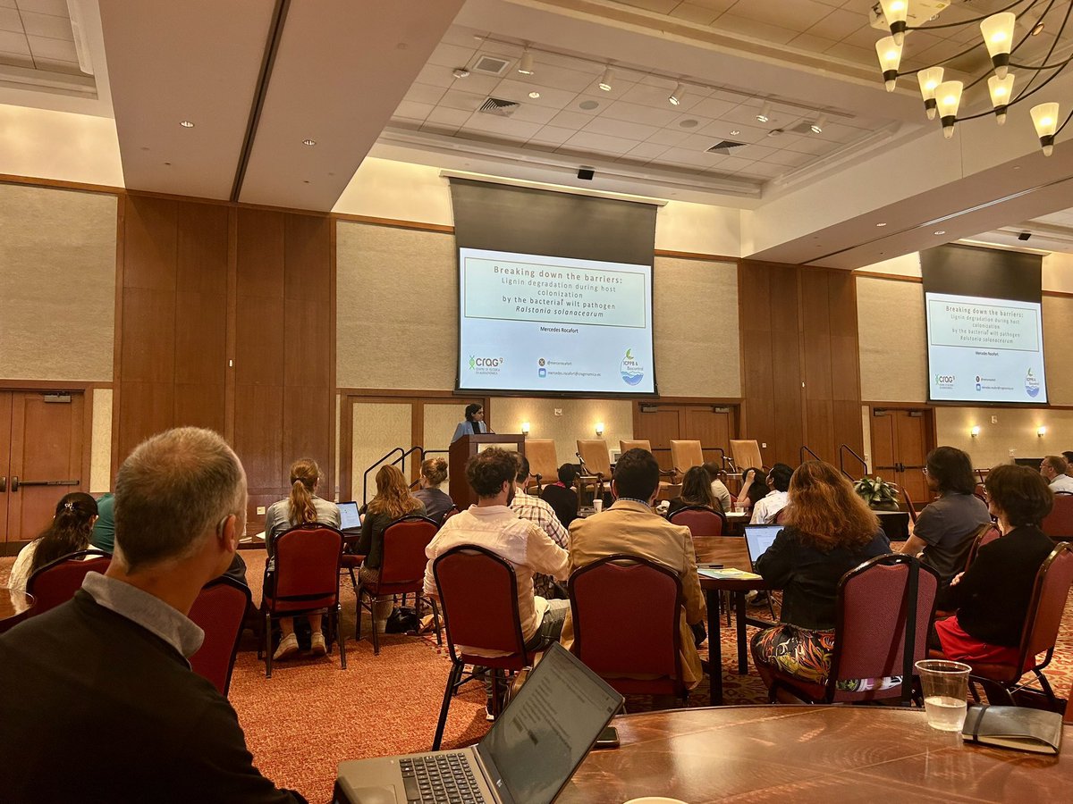 merce rocafort tweet media