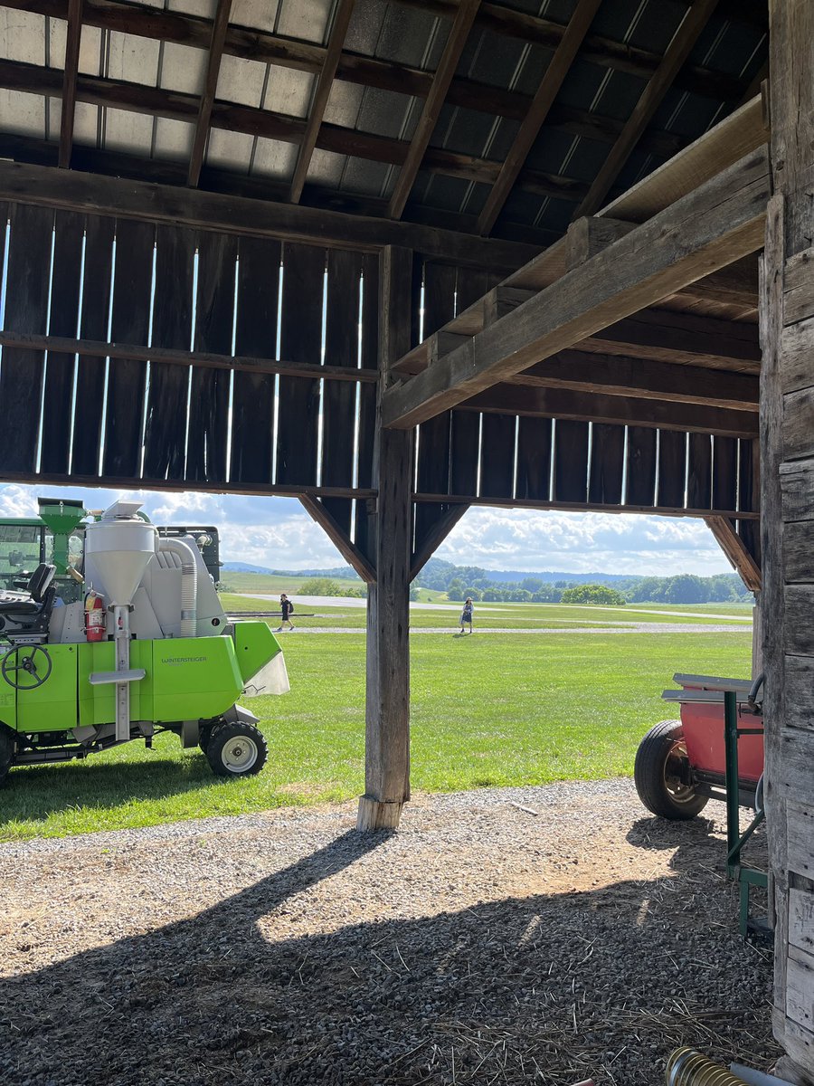 merce rocafort tweet media