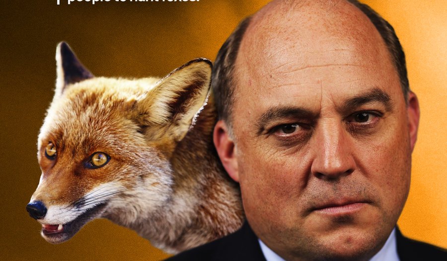 Conservative MP Ben Wallace said he wants to defend the Right to hunt foxes.

Lets have a Poll.

RT if foxes have a right to live.
Like if foxes should be allowed to hunt Ben Wallace.