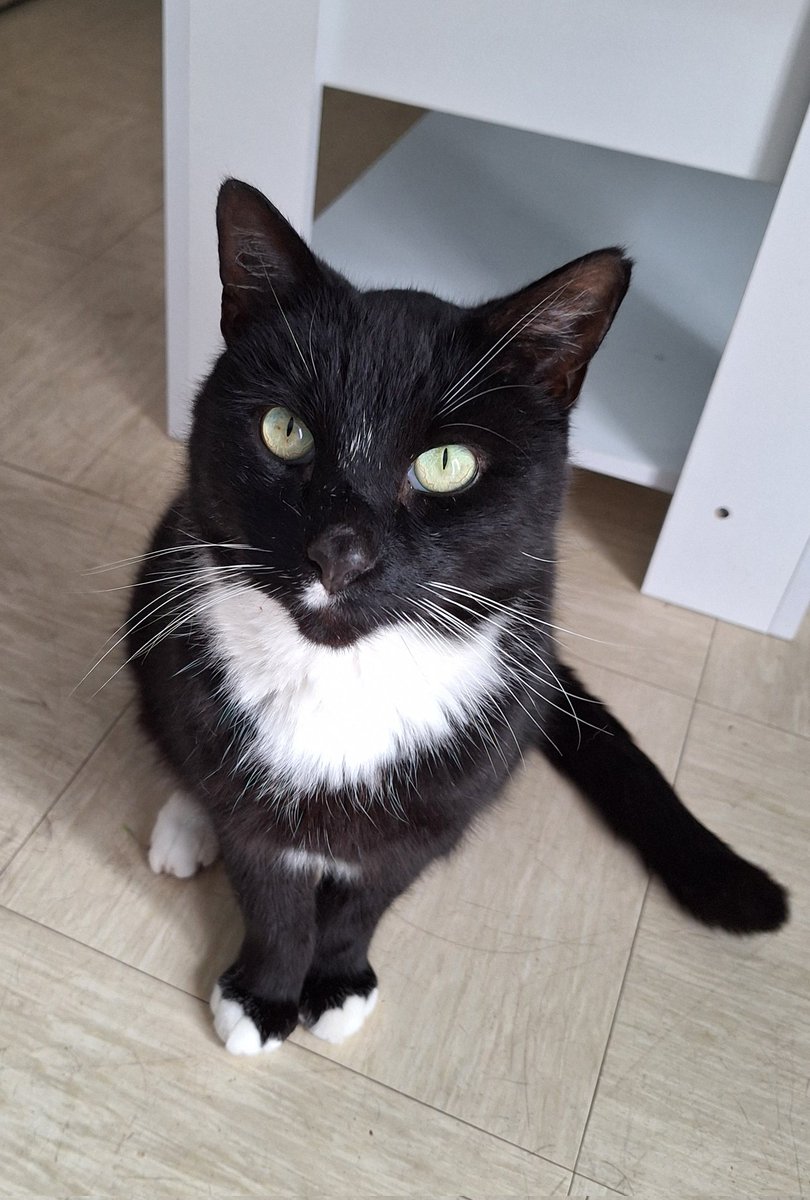 Splodge & Angel Tyler 🌈💔🌈& my hoodad/slave tweet media