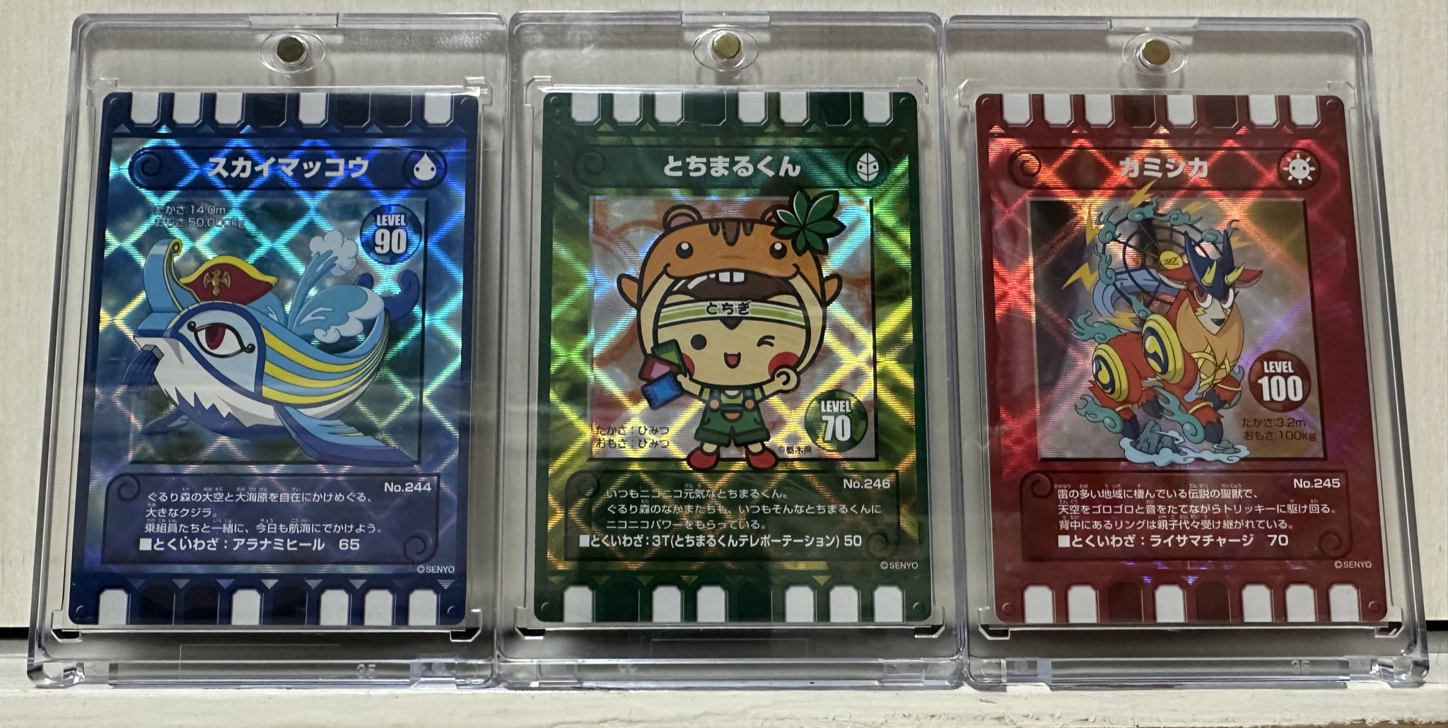 ぐるり森グッズ - カード迷路 ぐるり森 大冒険