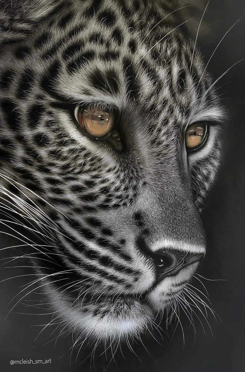 "His drawings are some of the best lv seen in my life"... Is want l want anyone who comes across my art to say 😊