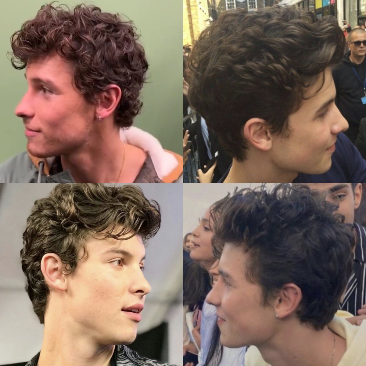 whyyoushawn's tweet photo. Shawn Mendes' side profile &amp; curls
                 - appreciation post - https://t.co/pAB5fle7Zu