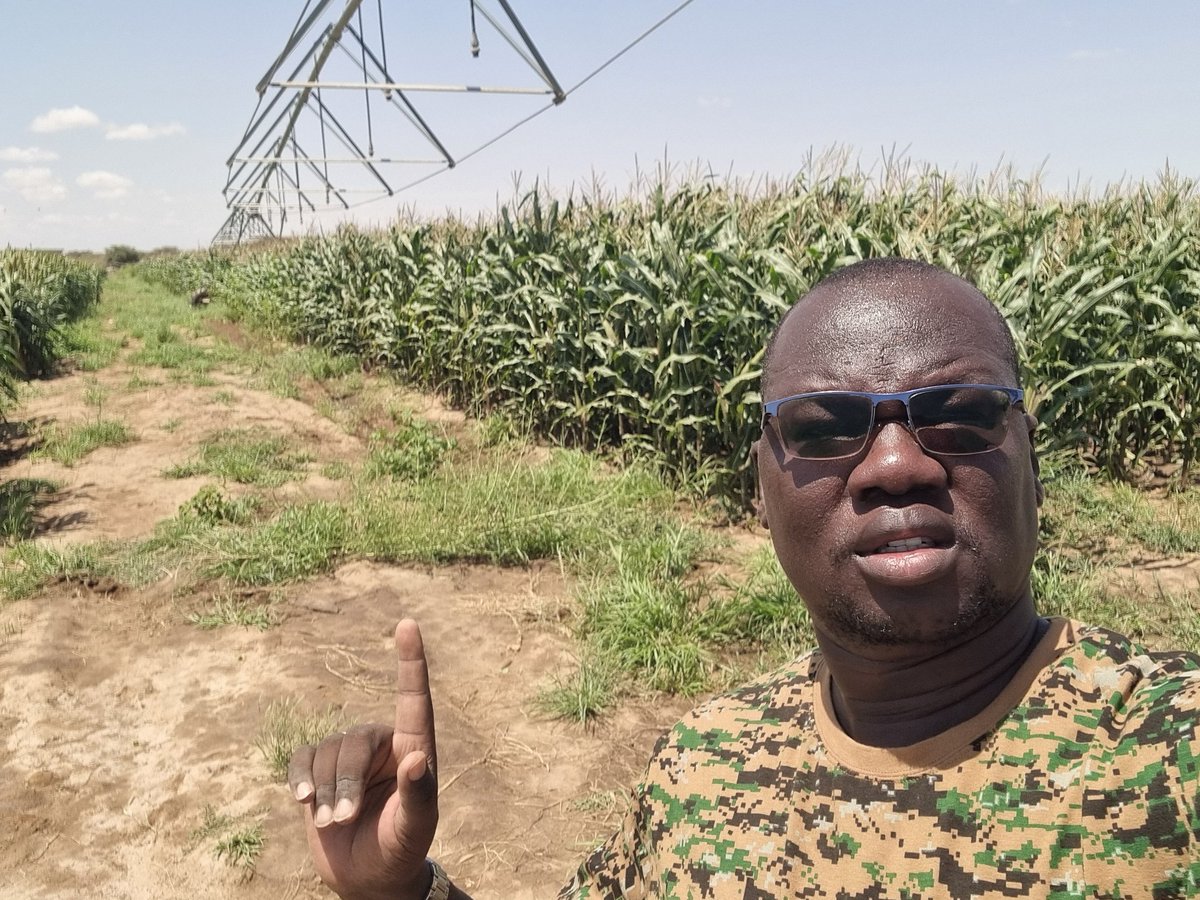 JamesLokwale's tweet photo. Mzee moi alisema kilimo ni uti wa mgongo wa taifa letu. @KVDA_ke https://t.co/AYJwgOrP0J