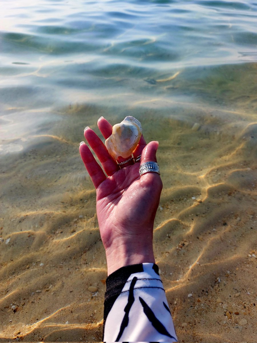 RaghdaMedhat8's tweet photo. 🌊 https://t.co/IdGsiTXKeR
