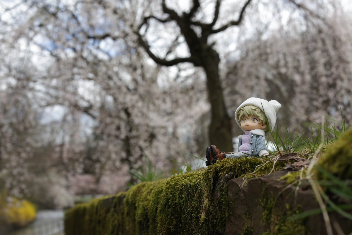 SSpotss's tweet photo. Yatora in NJ, spring. #矢口八虎　#ブルーピリオド https://t.co/LShtS7o9Pu