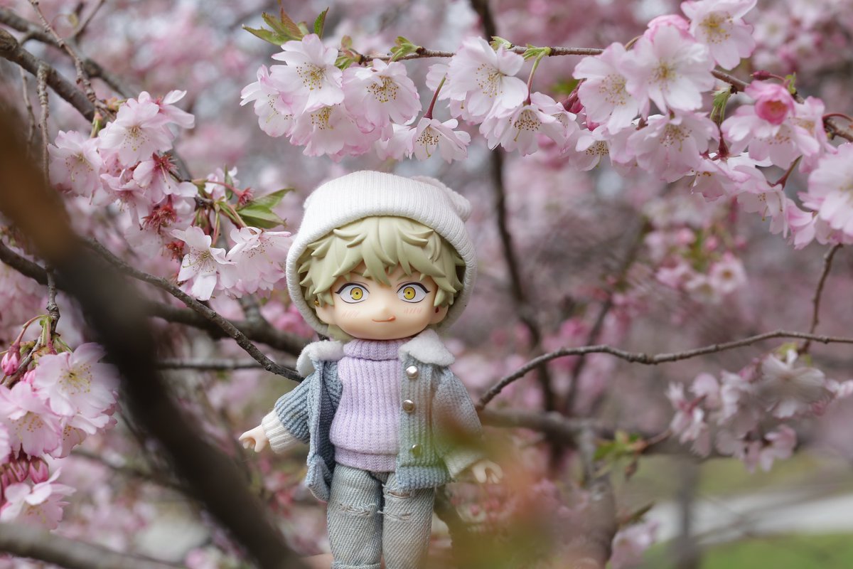 SSpotss's tweet photo. Yatora in NJ, spring. #矢口八虎　#ブルーピリオド https://t.co/LShtS7o9Pu