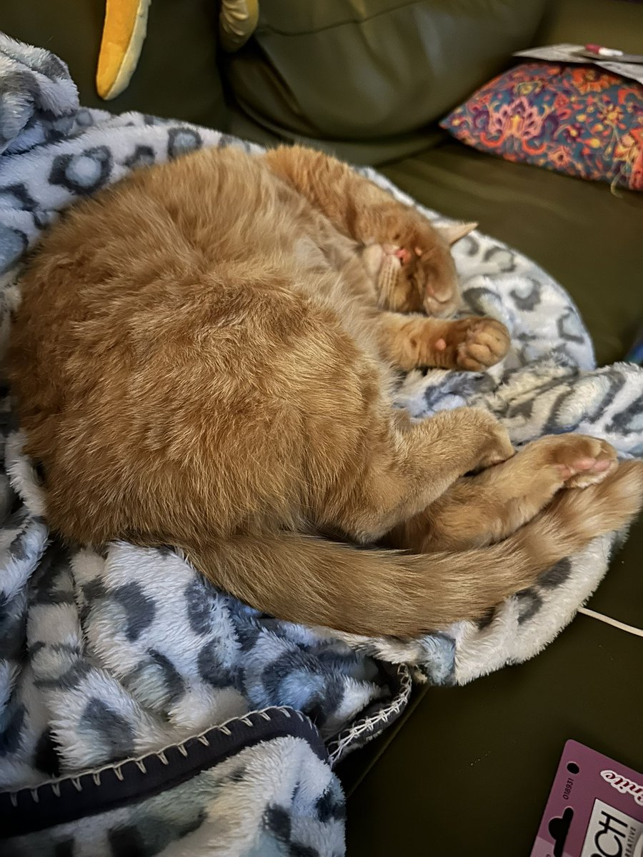 I am Penrose and I know how to relax