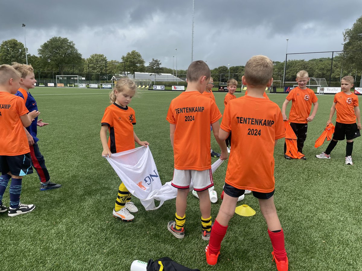 vv GOMOS tweet media