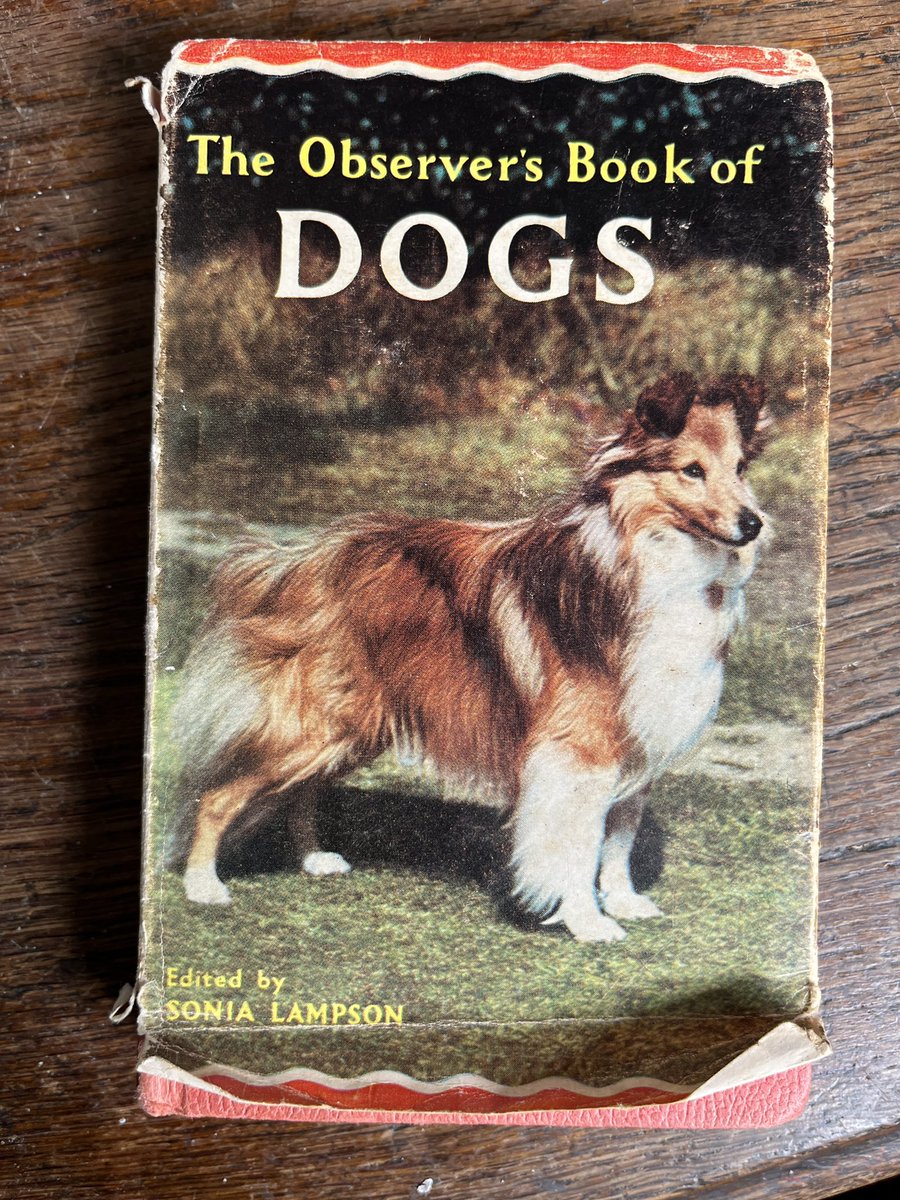 Flic Everett tweet media