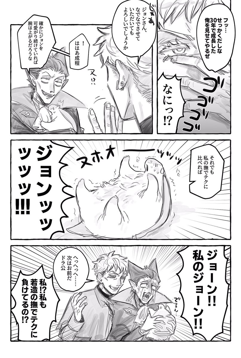 ロナドラ 