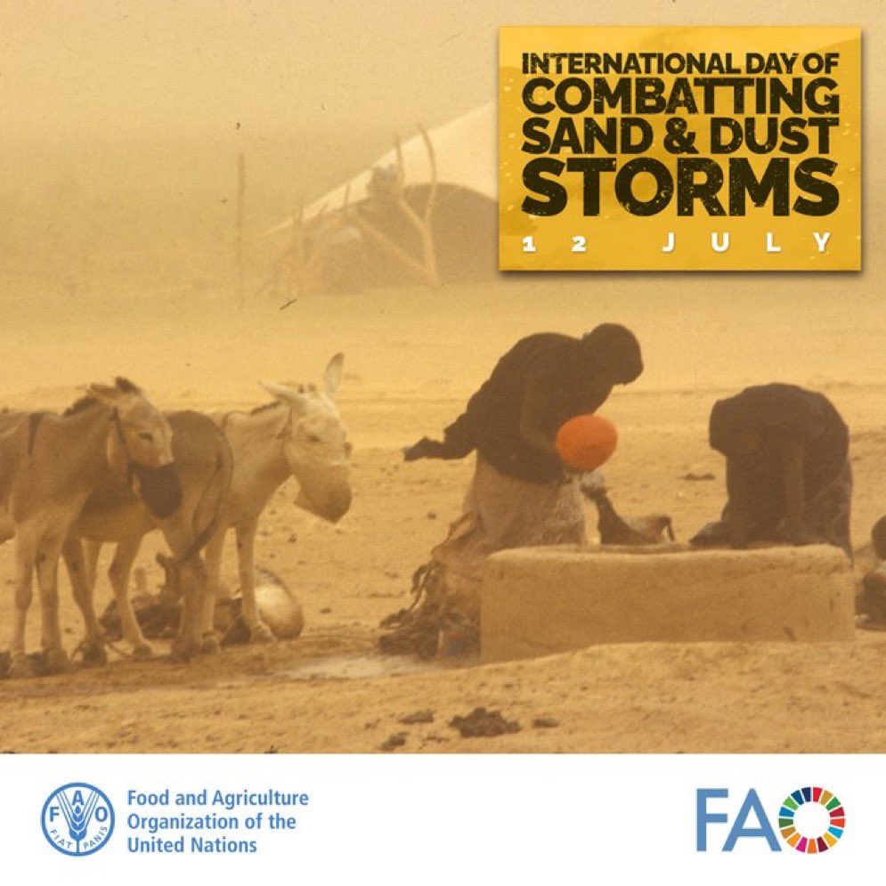 FAOSaudiArabia's tweet image. Sand and dust storms are complex phenomena costing MENA region substantial economic losses over $150 billion (&amp;gt;2.5% GDP) affecting agriculture, health, and infrastructure.

Discover how tree plantation helps combat SDS in the region: 
shorturl.at/pkoBt 
#SDSDay