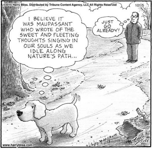 Craig C. Charles tweet media