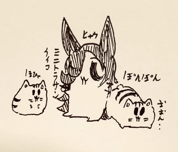 もち虎さんが半ライスに慣れてるの見て、ミニ虎さんも半ライスに興味を持ってますね…人慣れしてきてますね🐯(人じゃないので半ライス慣れかもしれない) 