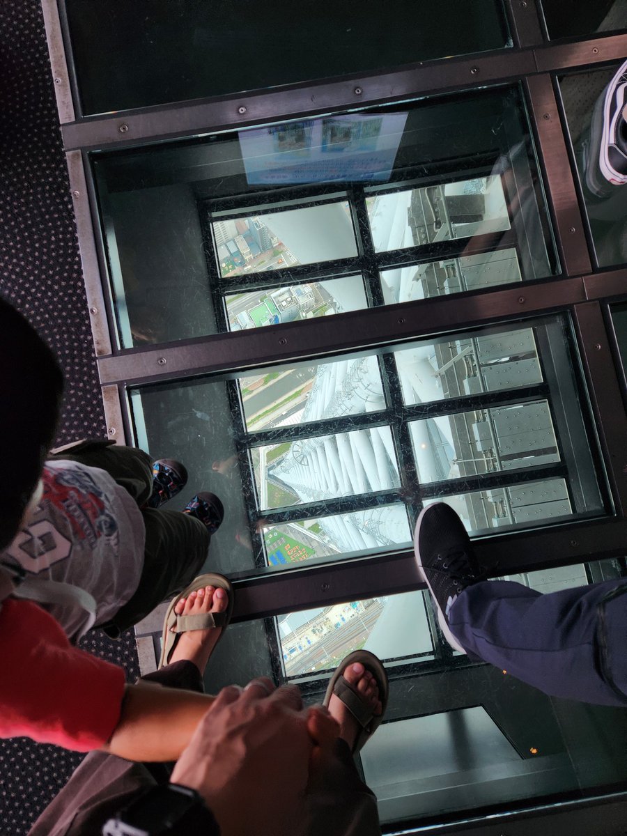 plant-watch tweet media