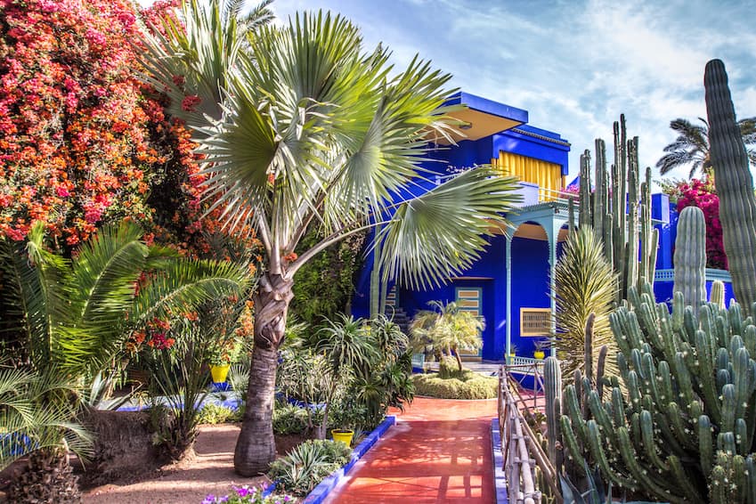 MTDtour's tweet photo. Majorelle Garden... The magical blue in the middle of the Red city ☀️ https://t.co/0ZXEsKxOUH