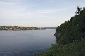 Alexander_Shaq's tweet photo. "I don't get how you can enjoy watching terrible people for so long?"
"Easy," with a quick #answer, "most humans are #connate with malice & mindful thoughts. And in the #river of #history, those that use malice without mind will drown in karma."
#vss365 #2wordprompt #ConverStory https://t.co/zvP5u4mLdO