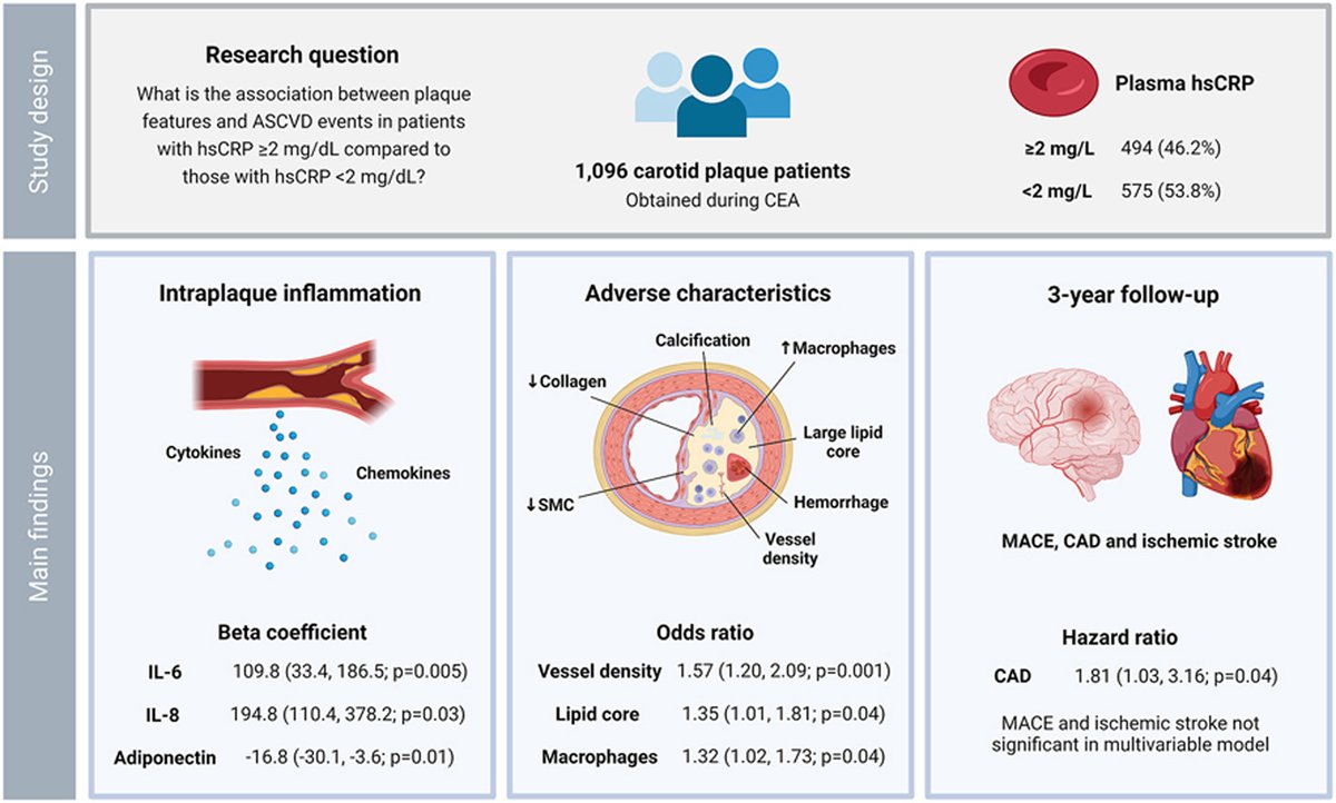 Atherosclerosis (@athjournal) on Twitter photo Plasma C-reactive protein is associated with a pro-inflammatory and adverse plaque phenotype
🔗atherosclerosis-journal.com/article/S0021-…
<a href="/society_eas/">European Atherosclerosis Society</a> <a href="/atherosociety/">International Atherosclerosis Society (IAS)</a> <a href="/KroonLab/">Vascular Metabolism and Inflammation Lab</a> <a href="/mm0kry/">michal mokry</a> @ELS_Cardiology #EASSoMe #CvPrev Plasma C-reactive protein is associated with a pro-inflammatory and adverse plaque phenotype
🔗atherosclerosis-journal.com/article/S0021-…
<a href="/society_eas/">European Atherosclerosis Society</a> <a href="/atherosociety/">International Atherosclerosis Society (IAS)</a> <a href="/KroonLab/">Vascular Metabolism and Inflammation Lab</a> <a href="/mm0kry/">michal mokry</a> @ELS_Cardiology #EASSoMe #CvPrev