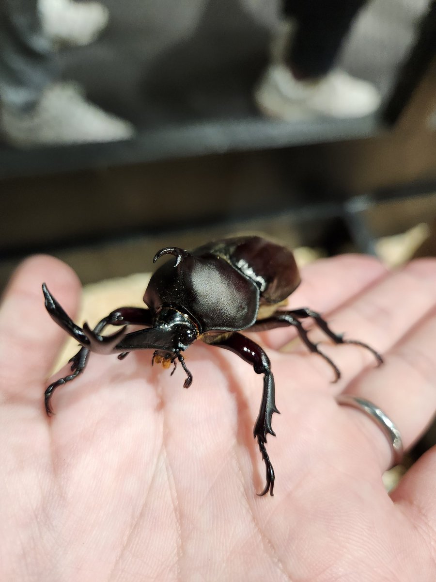 plant-watch tweet media