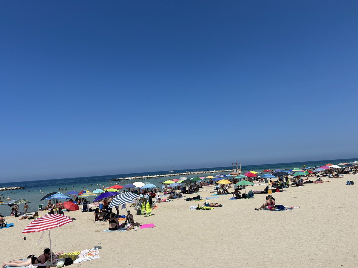 atpmd0's tweet photo. 夏取り戻し中 https://t.co/KWpzENFWWA