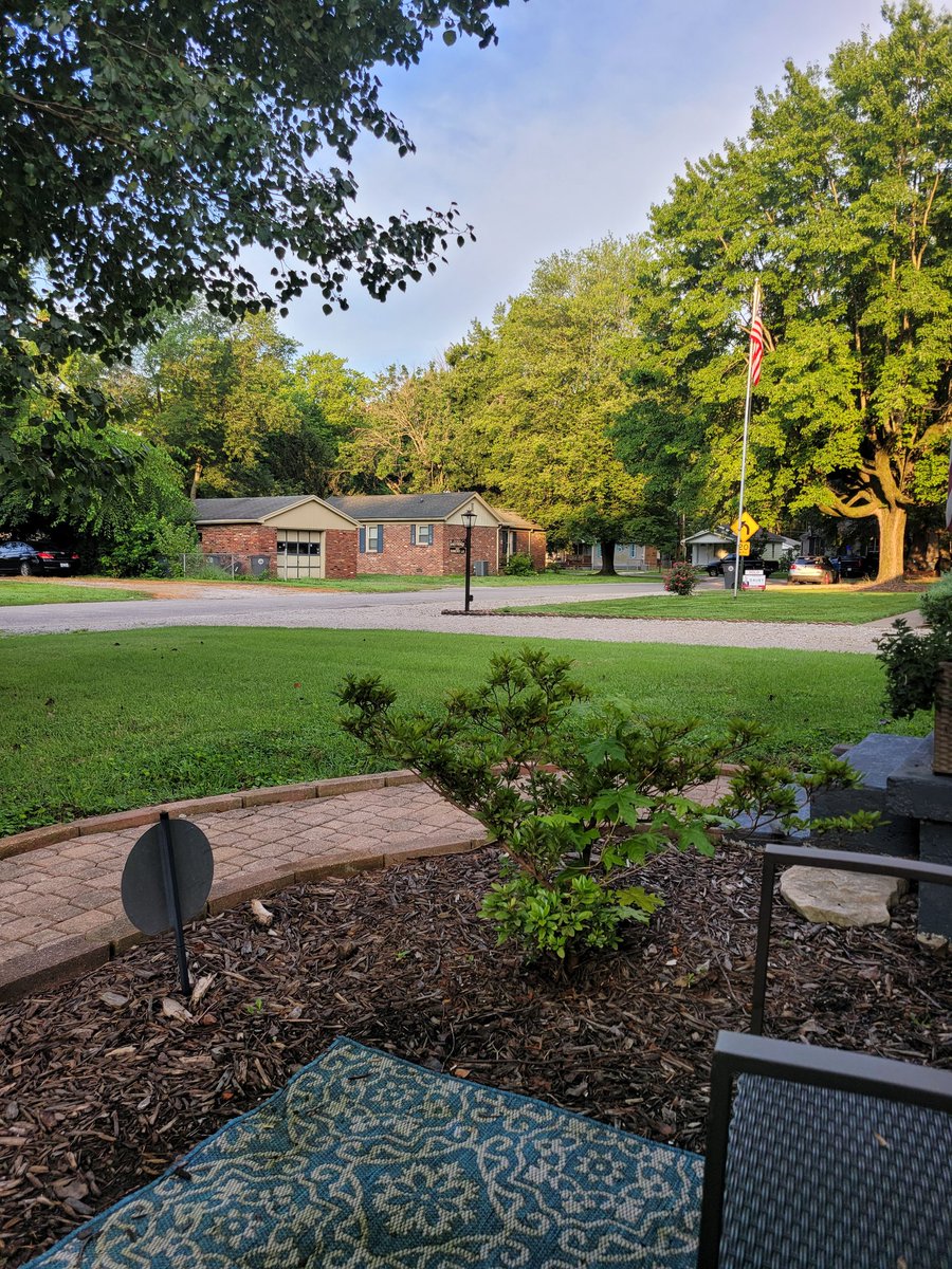 WmHillJr's tweet photo. My view this morning.
I decided to venture to my chairs in the front yard for some fresh air and a change of scenery as I begin the road to recovery post-surgery.
#recuperating #revovery #surgery https://t.co/8gFjuDaXRG