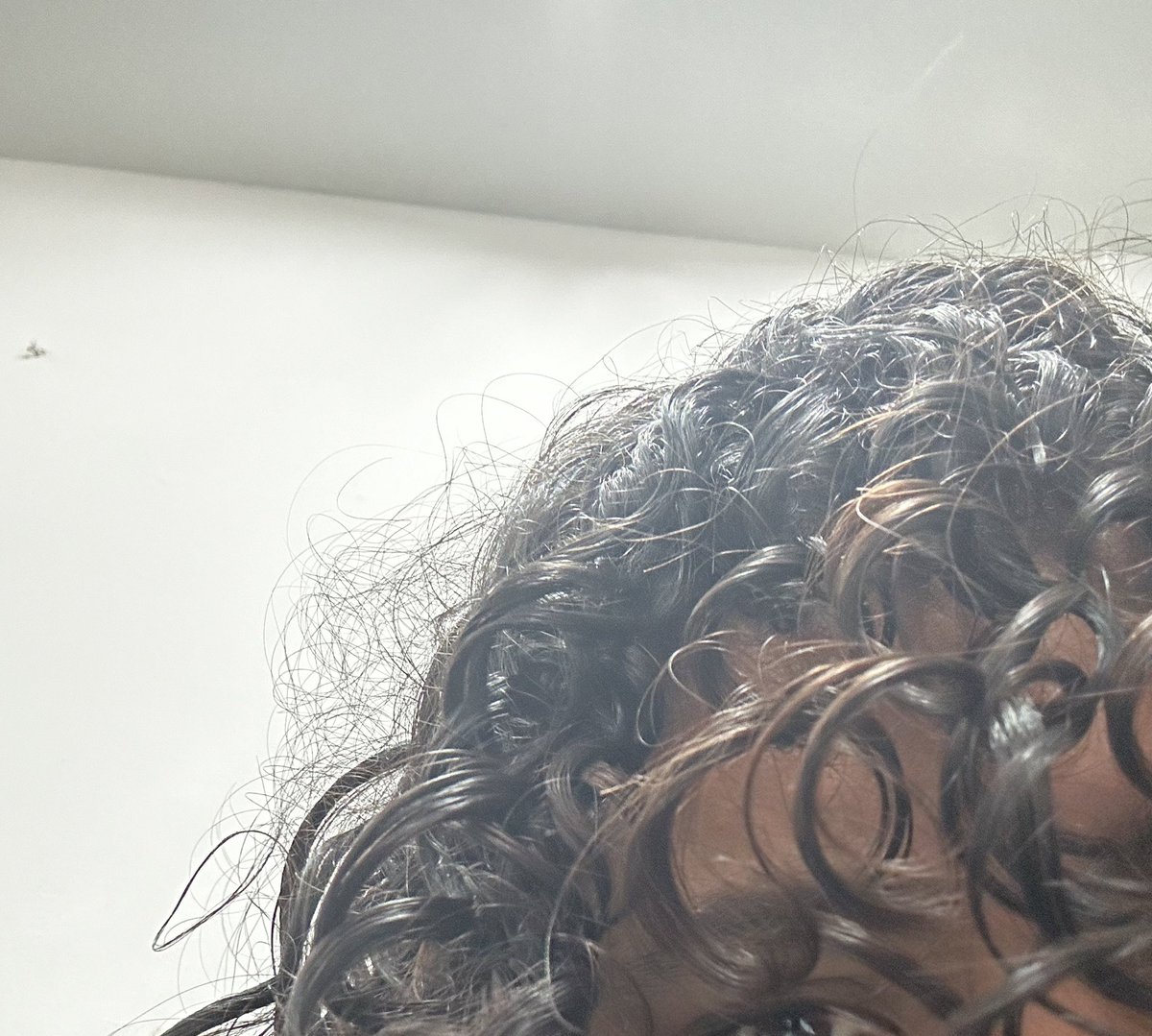 ltnightcherry's tweet photo. Peguei uma chuva e olha a situação do cabelo 😭😭😭 https://t.co/KhJg0z3tZ8
