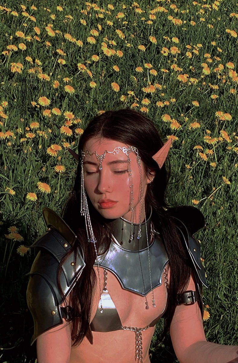 armouredelf tweet media