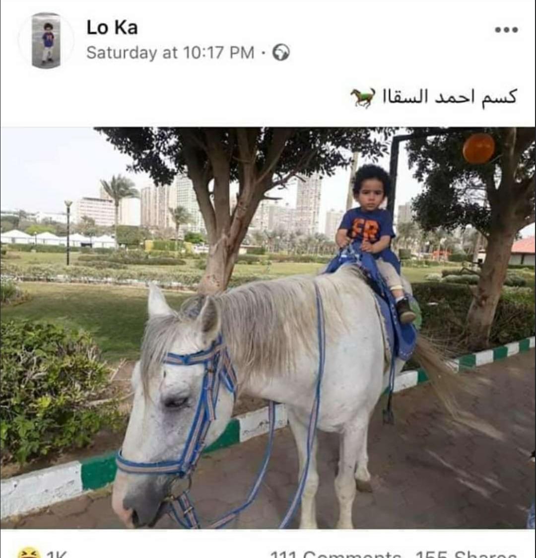 mazen amr (@mazen_amr3) on Twitter photo 