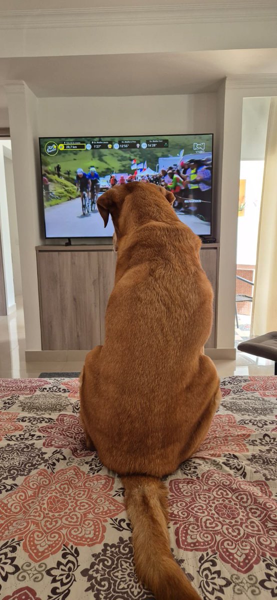 alvaroecely's tweet photo. @mario_sabato Tulio viendo la etapa desde Pereira, hoy gana piggy https://t.co/hoeTJb7s9t