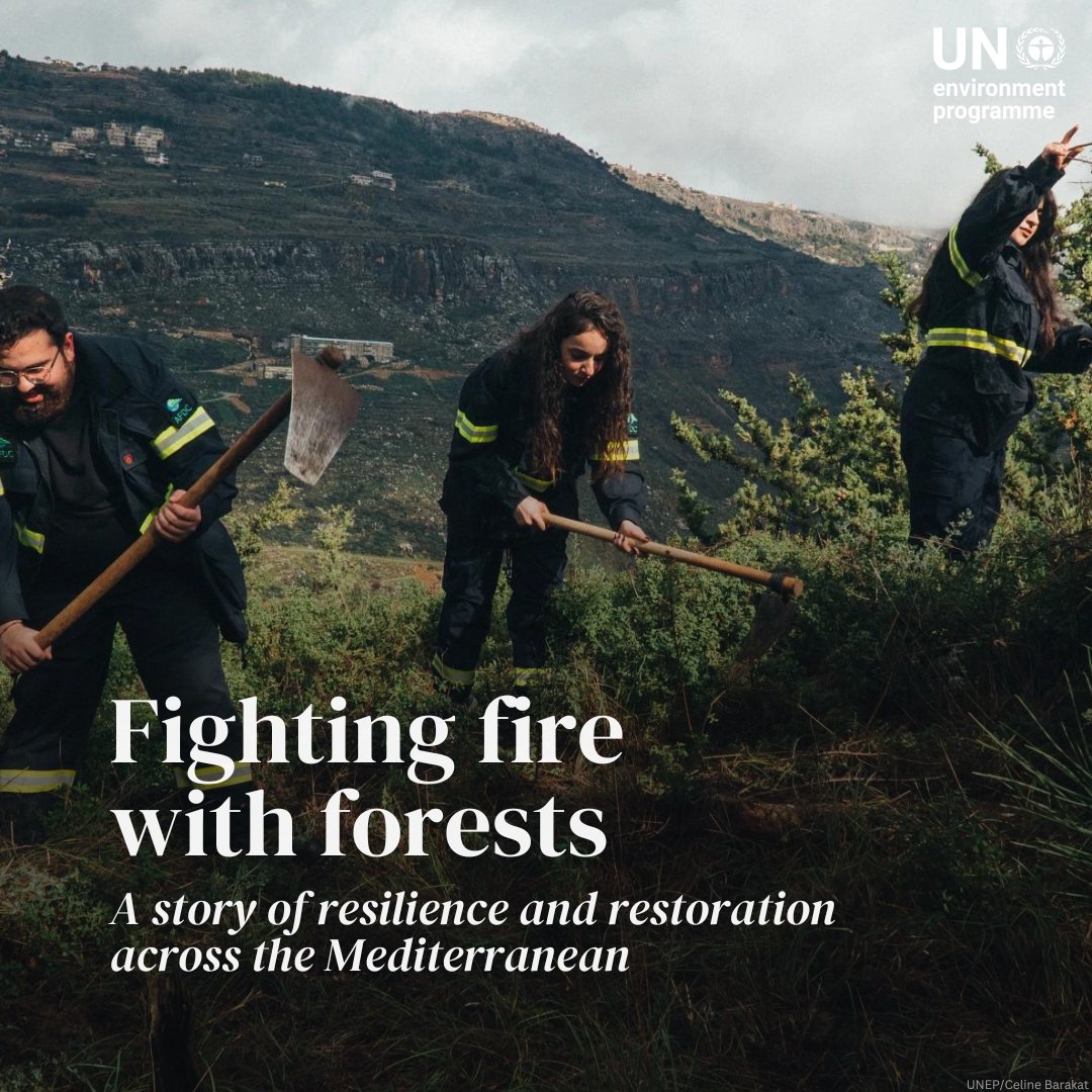 UN Environment Programme tweet media