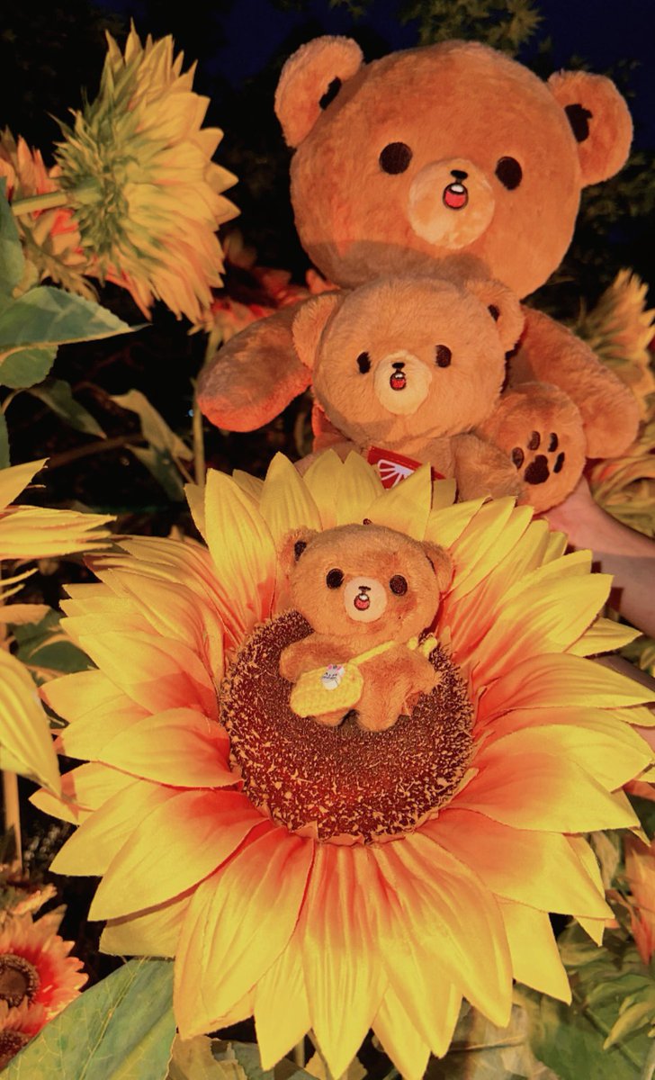 nachanahceah's tweet photo. Baby with sunflowers 🌻
赤ちゃんは夏の太陽を楽しんでいます🐻🌻🤍

@gomdo_lee_ https://t.co/JI4iwt7Max