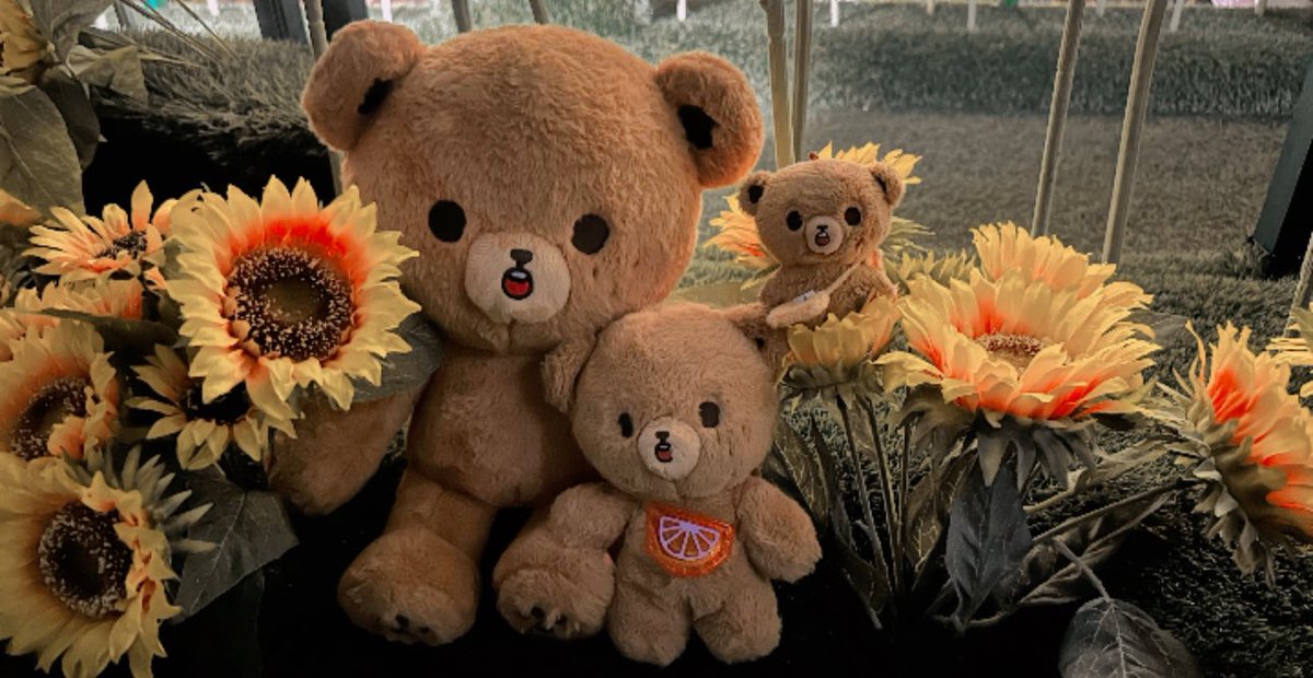 nachanahceah's tweet photo. Baby with sunflowers 🌻
赤ちゃんは夏の太陽を楽しんでいます🐻🌻🤍

@gomdo_lee_ https://t.co/JI4iwt7Max