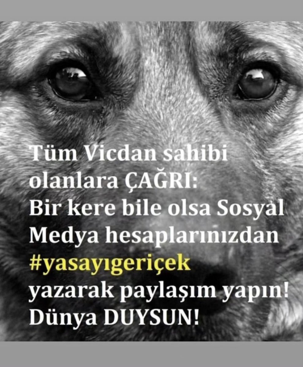 #YasayiGeriCek  hadi yüklenin tt olsun dünya duysun 🙏🏼‼️‼️‼️