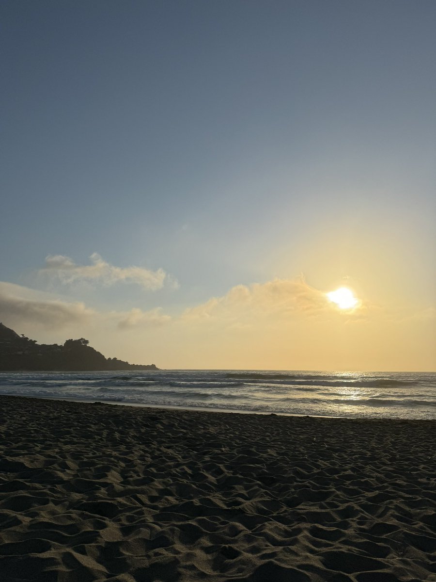 CDDP's tweet image. XV. 🤲🏼