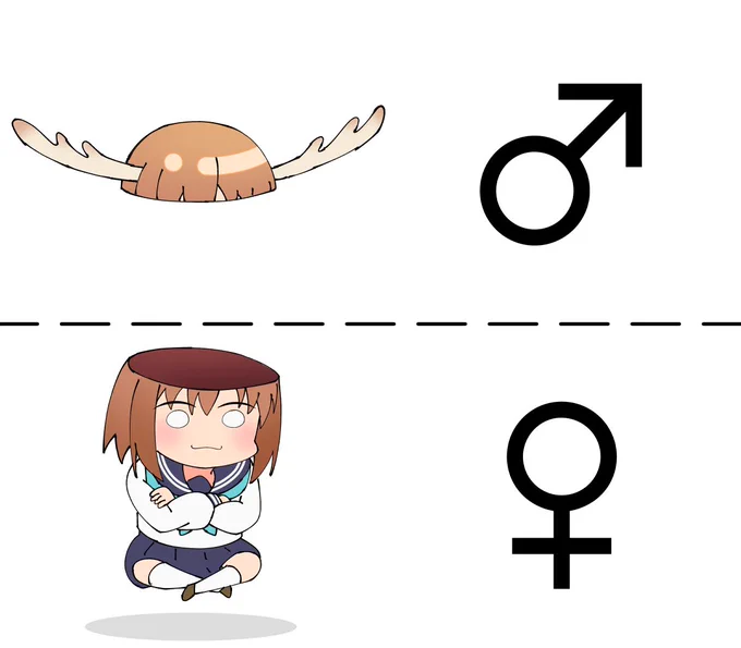 のこたんオスメス論争の答えです
#しかのこ #Shikanoko 
